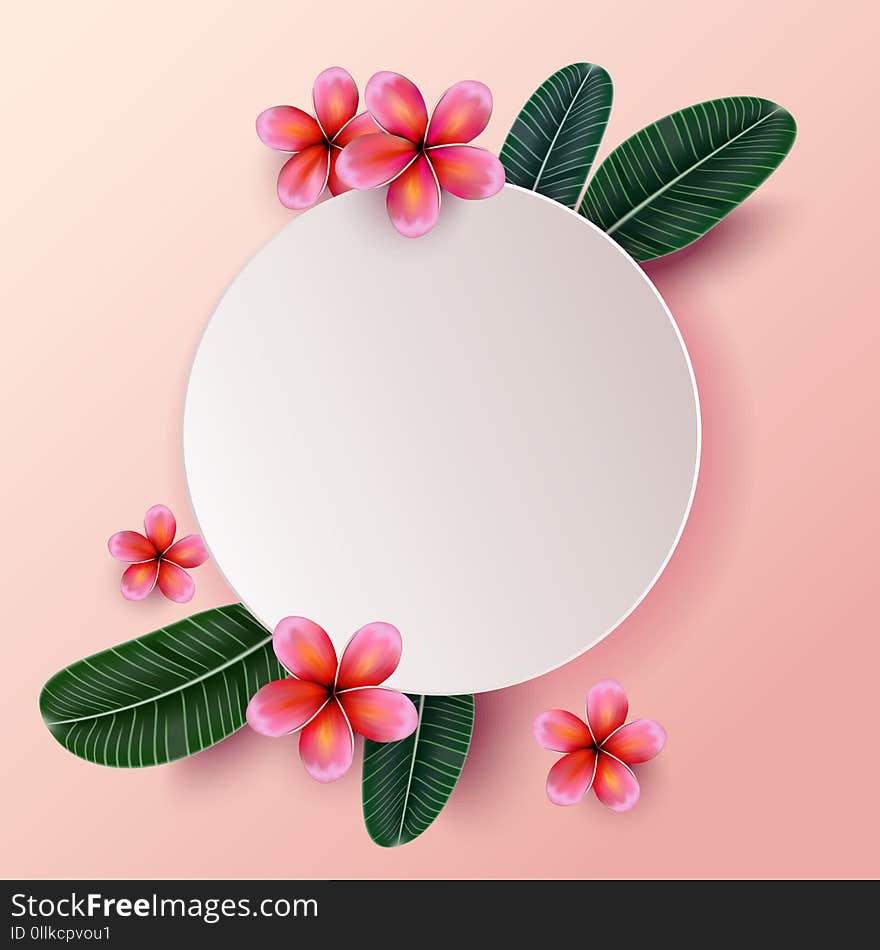 Pink Plumaria flower with copy space, Summertime. Happy holidays