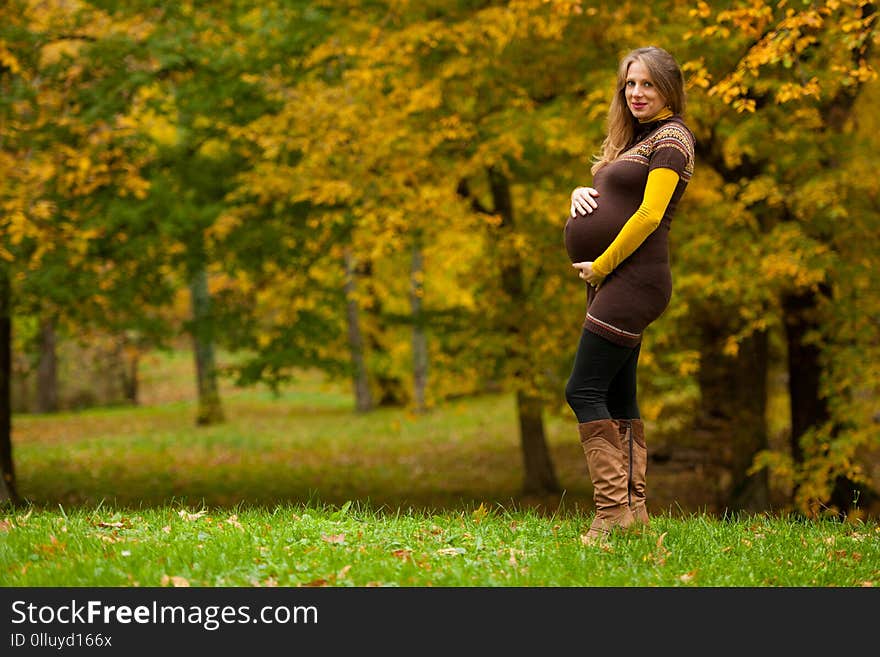 Beautiful pregnant woman outdoor in park on autumn afternoon with vibrant nature colors in background .