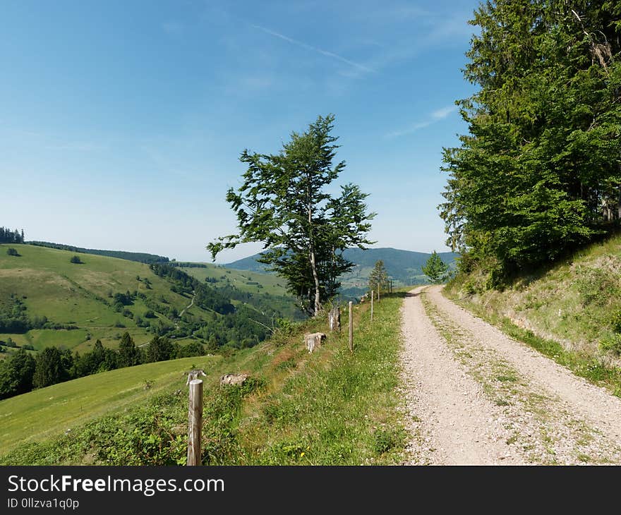 Road, Path, Sky, Vegetation