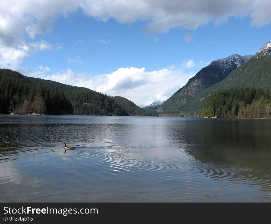 Lake, Water, Nature, Reflection