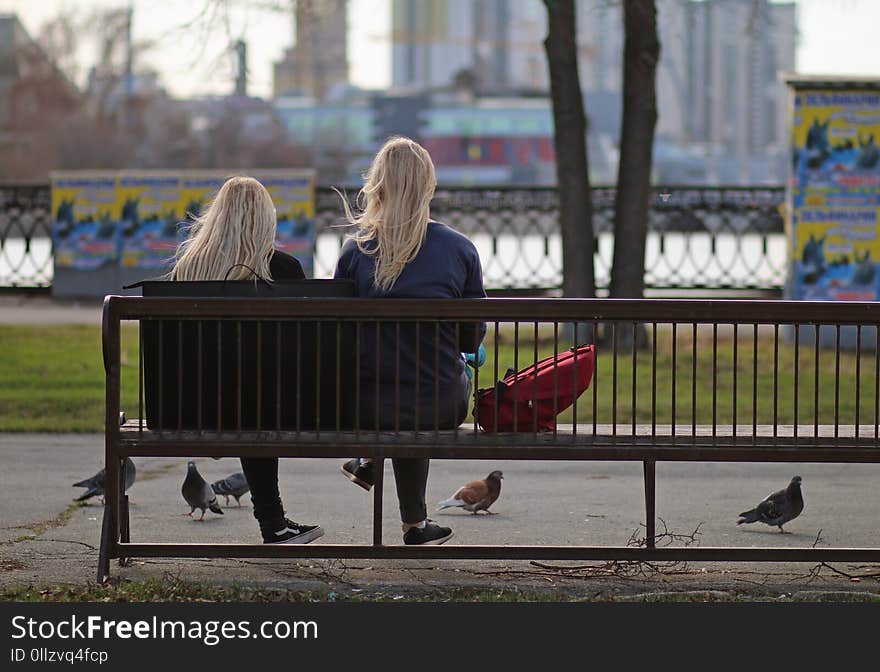 Infrastructure, Sitting, Public Space, Furniture