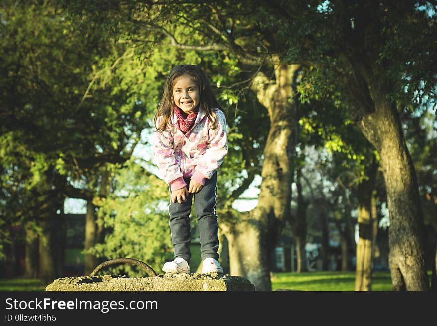 Tree, Nature, Photograph, Green