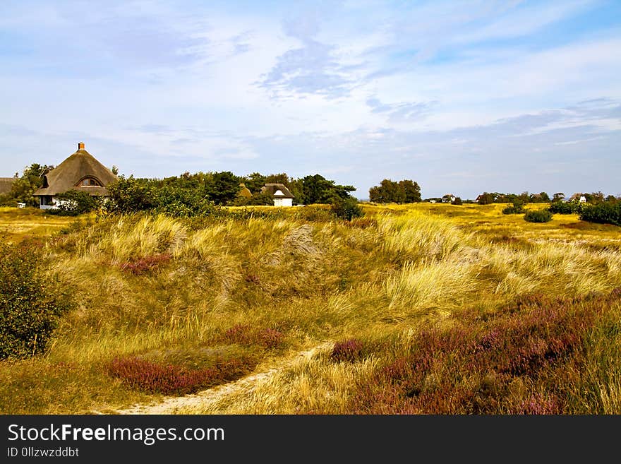 Grassland, Ecosystem, Prairie, Sky