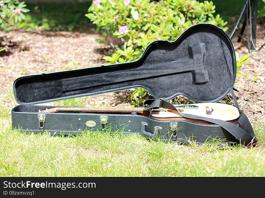 Musical Instrument, Grass, String Instrument, Lawn