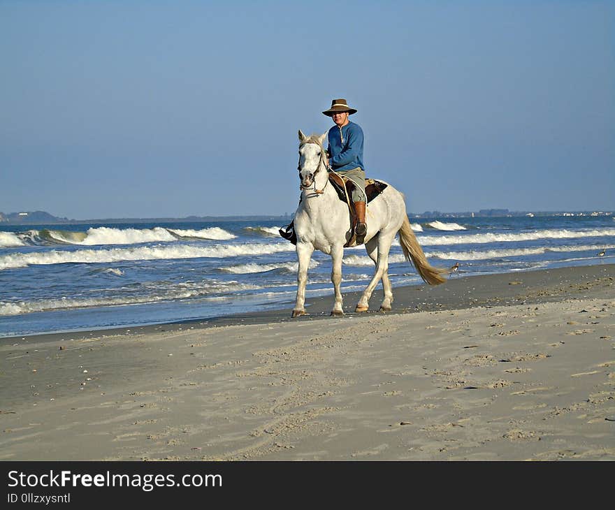 Horse, Sea, Horse Like Mammal, Beach