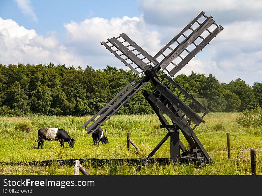 Grassland, Pasture, Windmill, Field