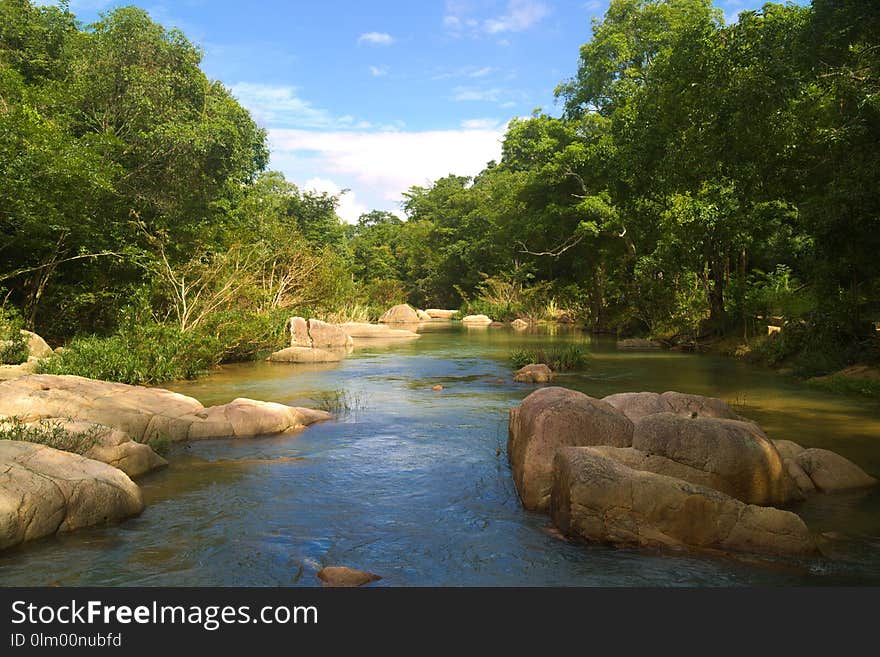 Nature, River, Water, Water Resources