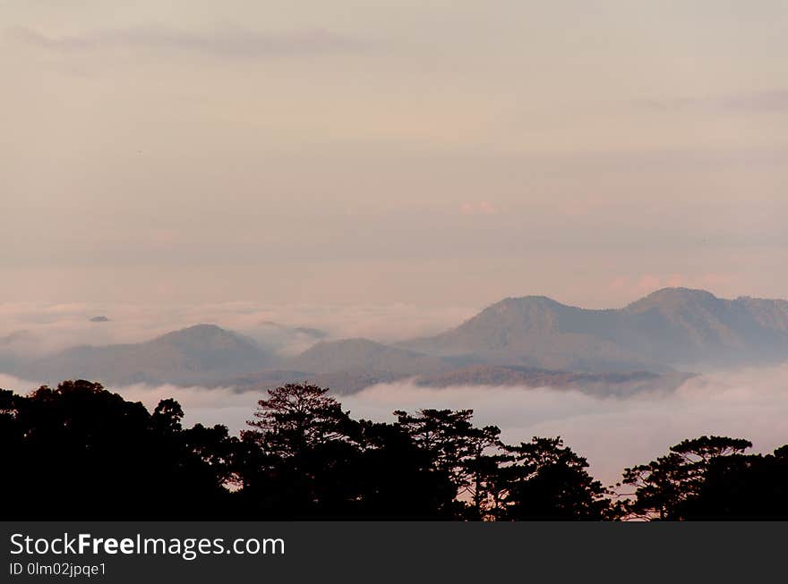 Sky, Dawn, Sunrise, Cloud