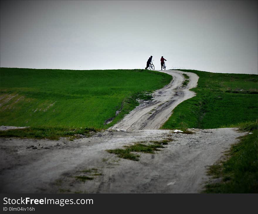 Green, Road, Grass, Sky