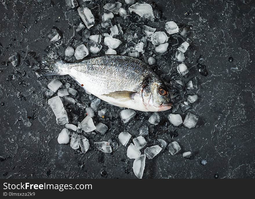 Raw fresh dorado on ice over dark stone background.