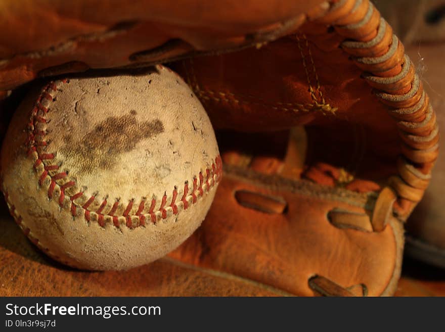 Baseball Equipment, Baseball Glove, Close Up, Baseball Protective Gear