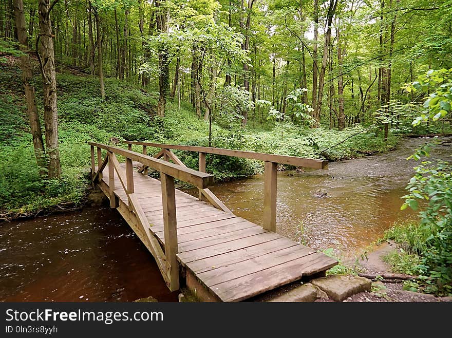 Nature, Water, Nature Reserve, Creek