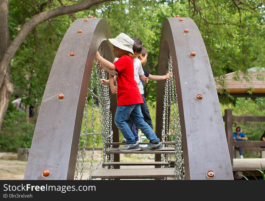 Public Space, Tree, Leisure, Outdoor Play Equipment