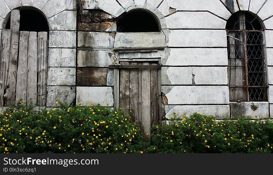 Wall, Arch, Tree, Window