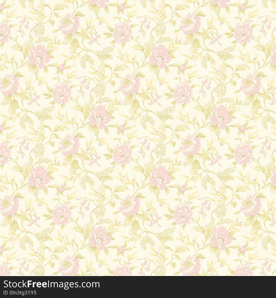 Pink, Yellow, Petal, Pattern