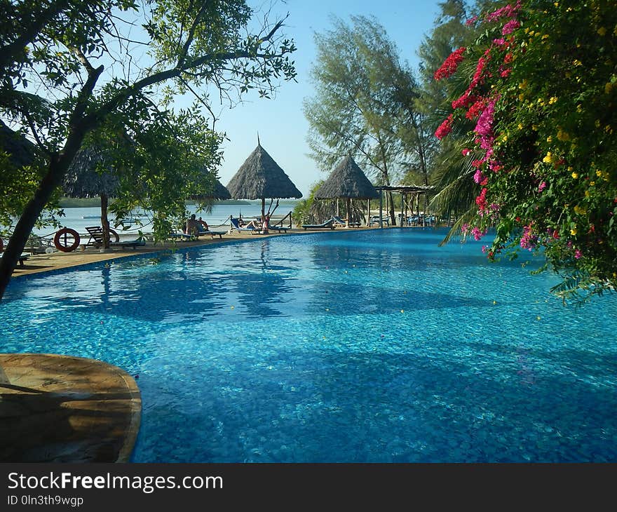 Water, Swimming Pool, Nature, Resort