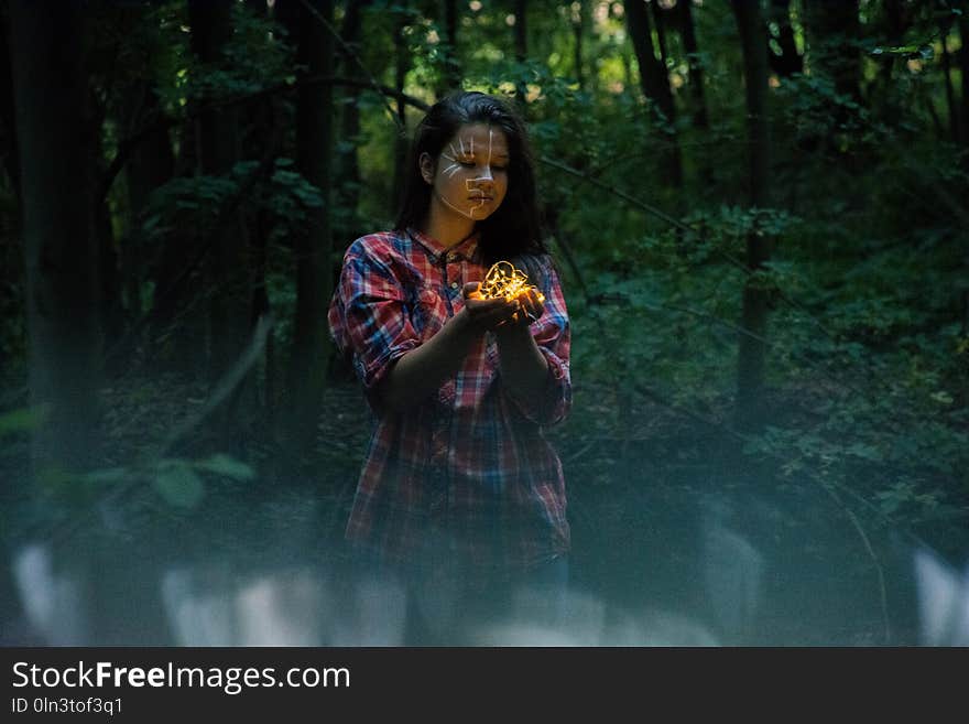 Nature, Water, Tree, Girl