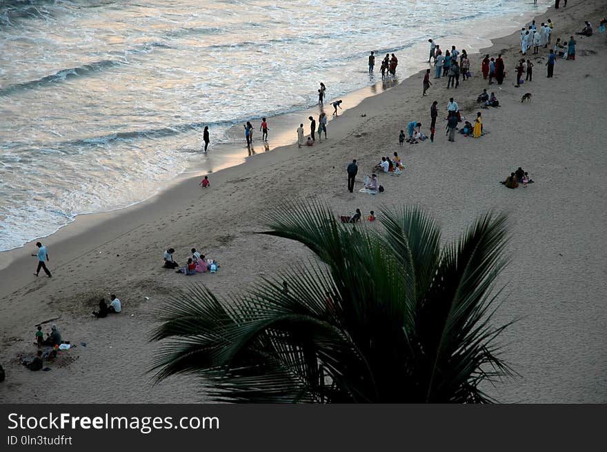 Beach, Sea, Body Of Water, Sand