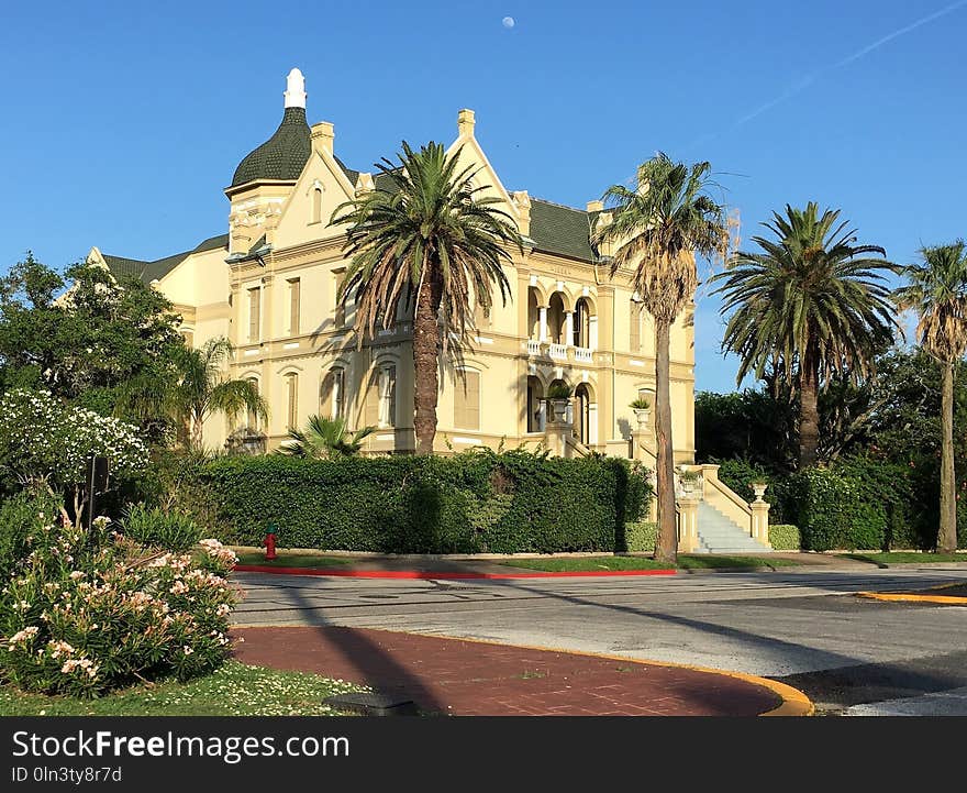 Landmark, Mansion, Palm Tree, Property