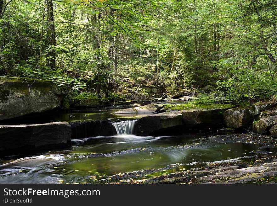 Water, Stream, Nature, Creek