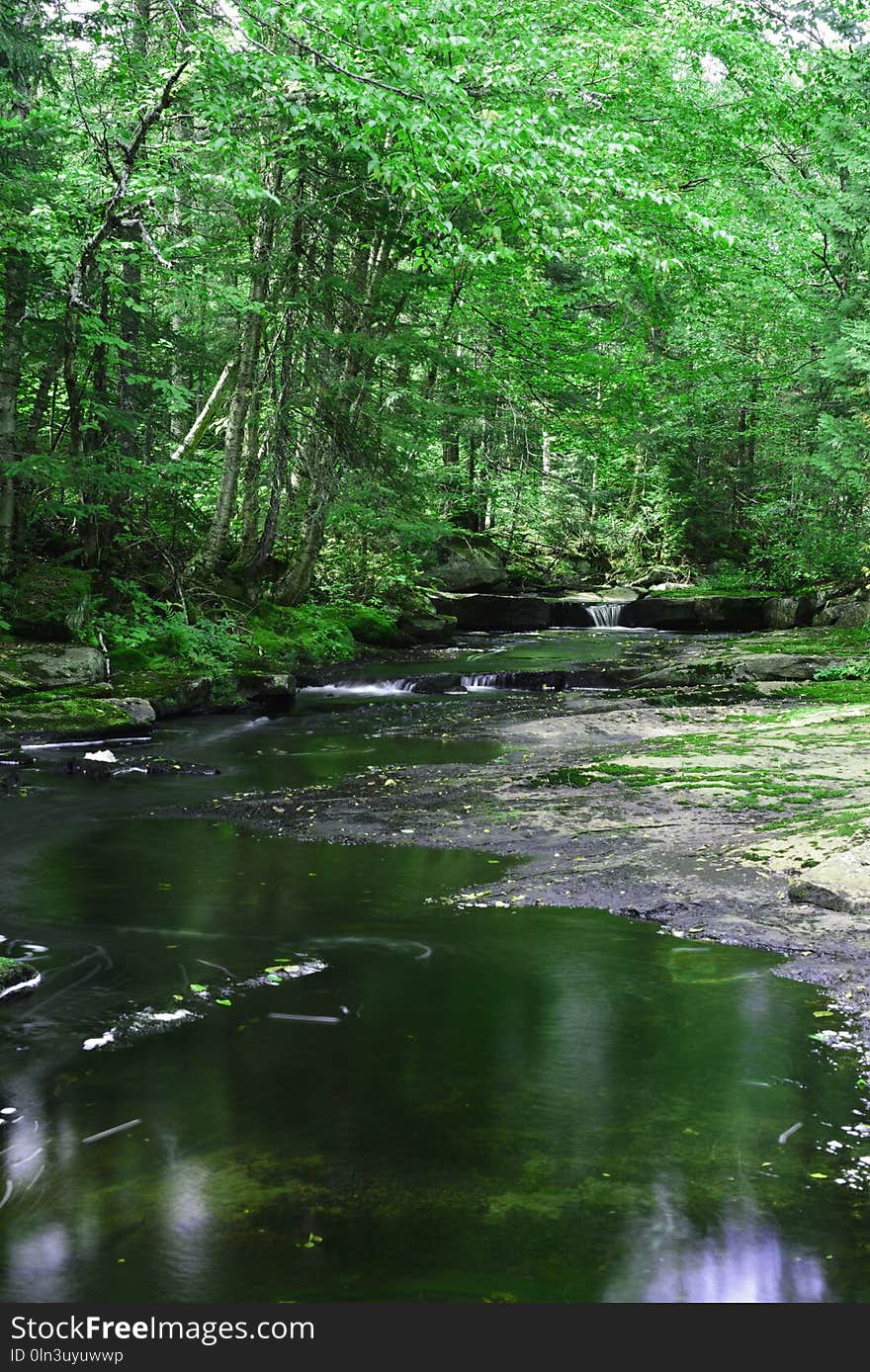 Water, Reflection, Nature, Green