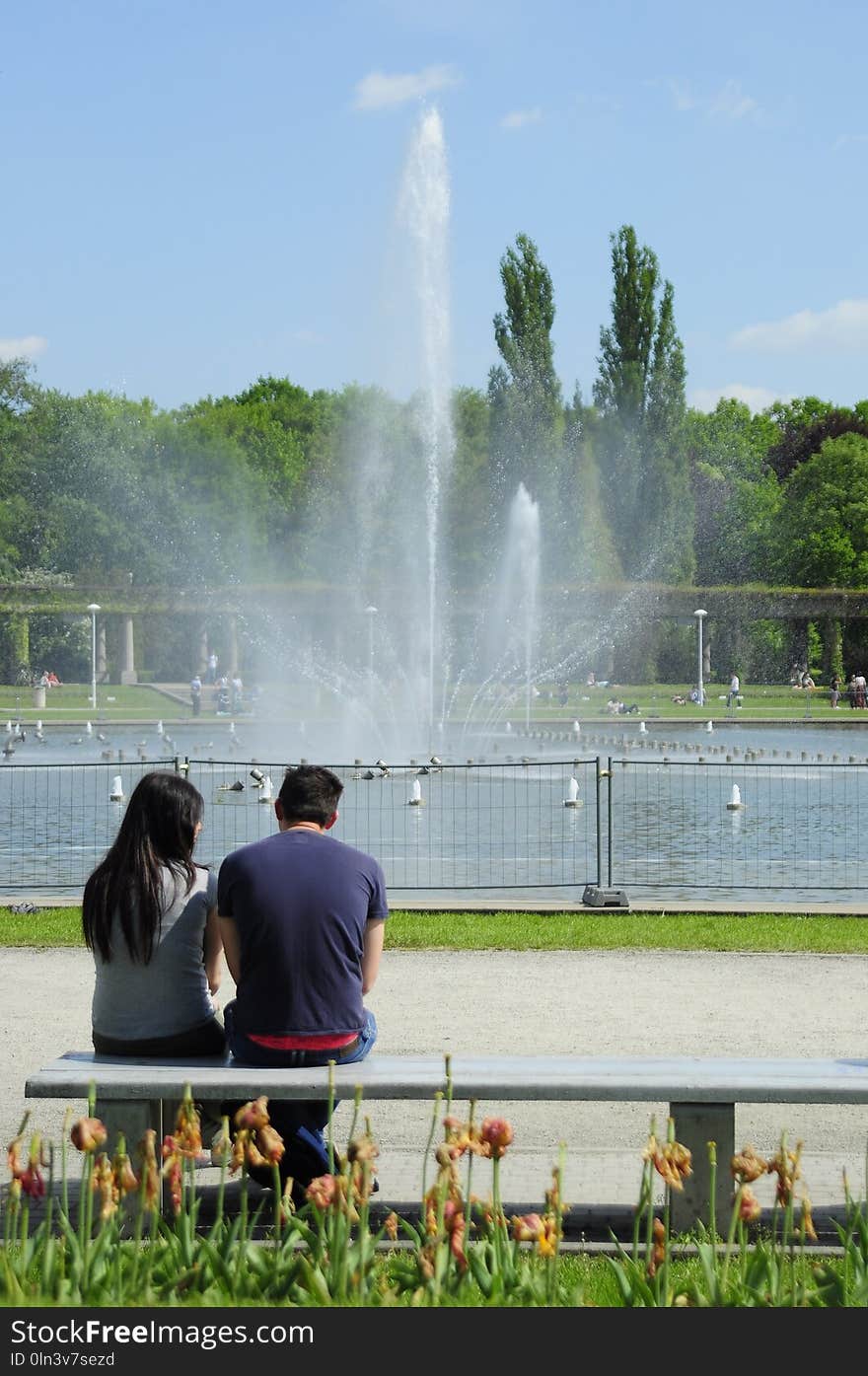 Water, Fountain, Water Feature, Water Resources