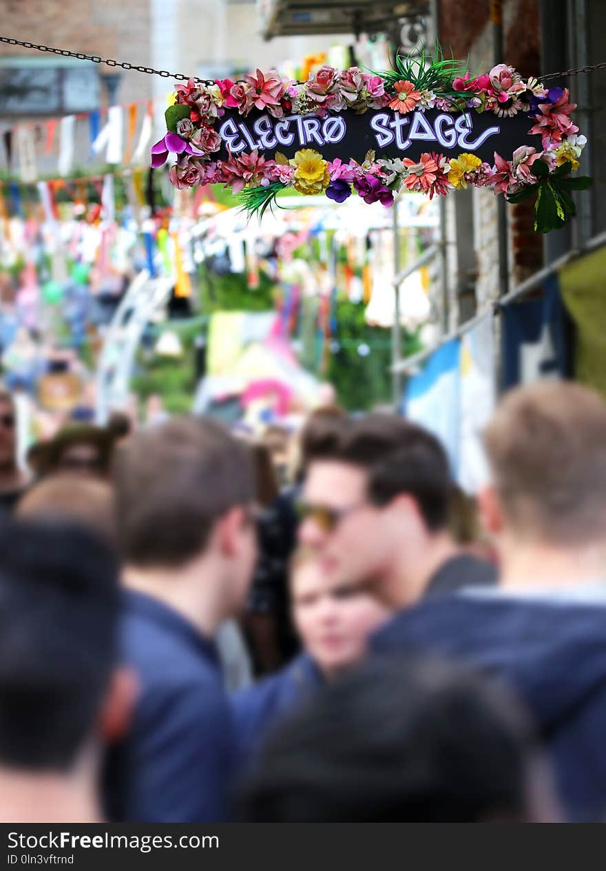 Public Space, Crowd, Plant, Flower