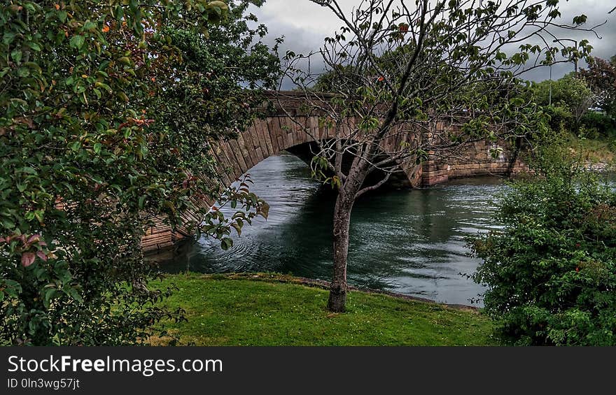 Water, Waterway, Nature Reserve, Vegetation