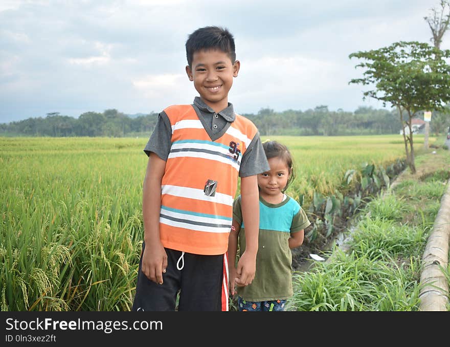 People, Agriculture, Plant, Paddy Field