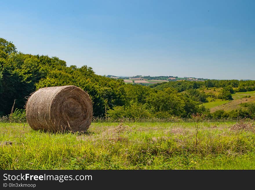 Grassland, Sky, Field, Pasture