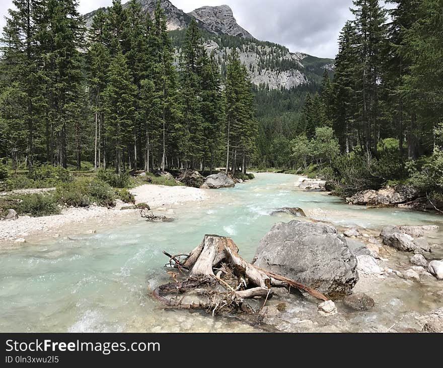 Wilderness, Water, Nature Reserve, River