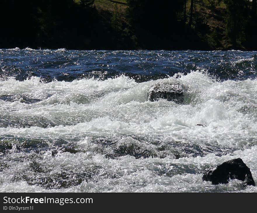 Rapid, Water, River, Nature