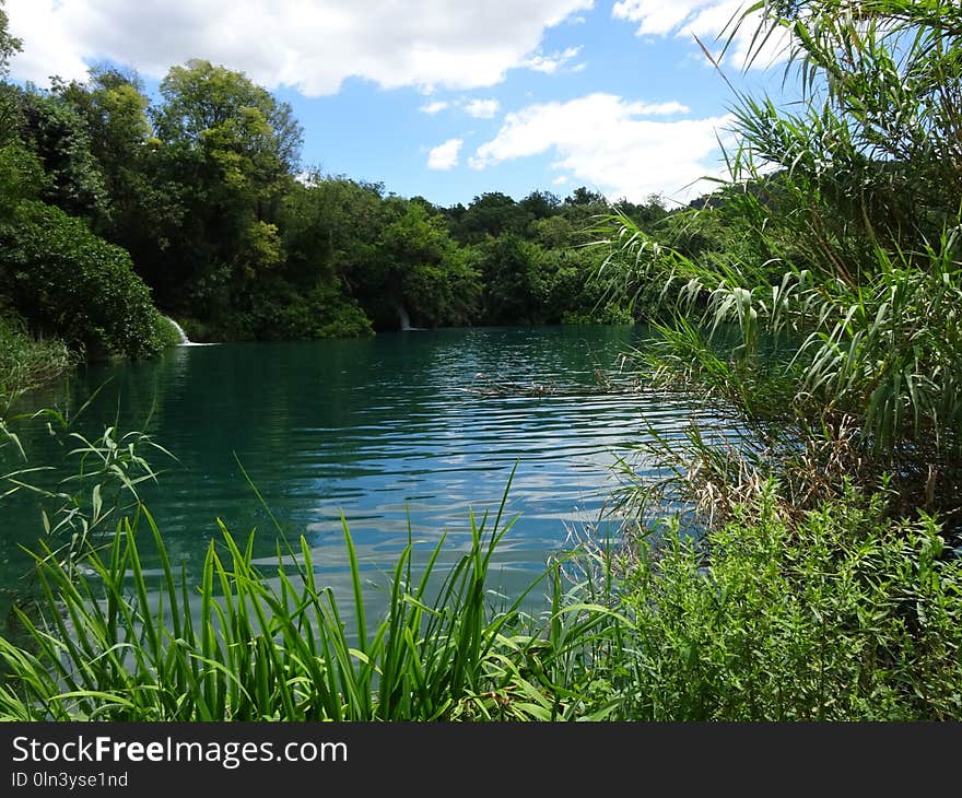 Vegetation, Water, Nature, Nature Reserve