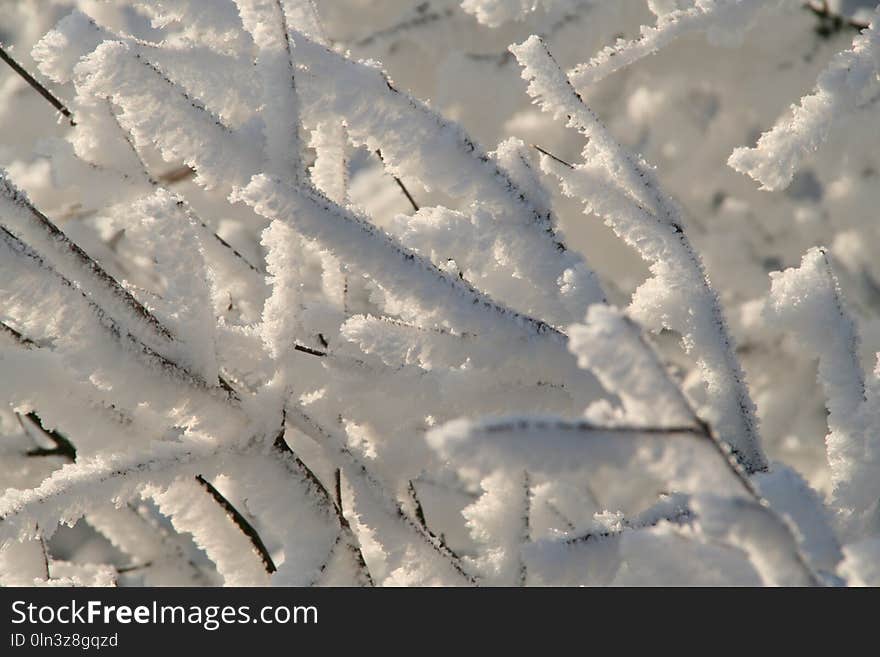 Sky, Snow, Frost, Freezing