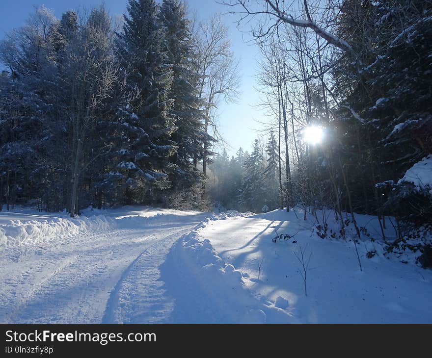 Snow, Winter, Sky, Freezing