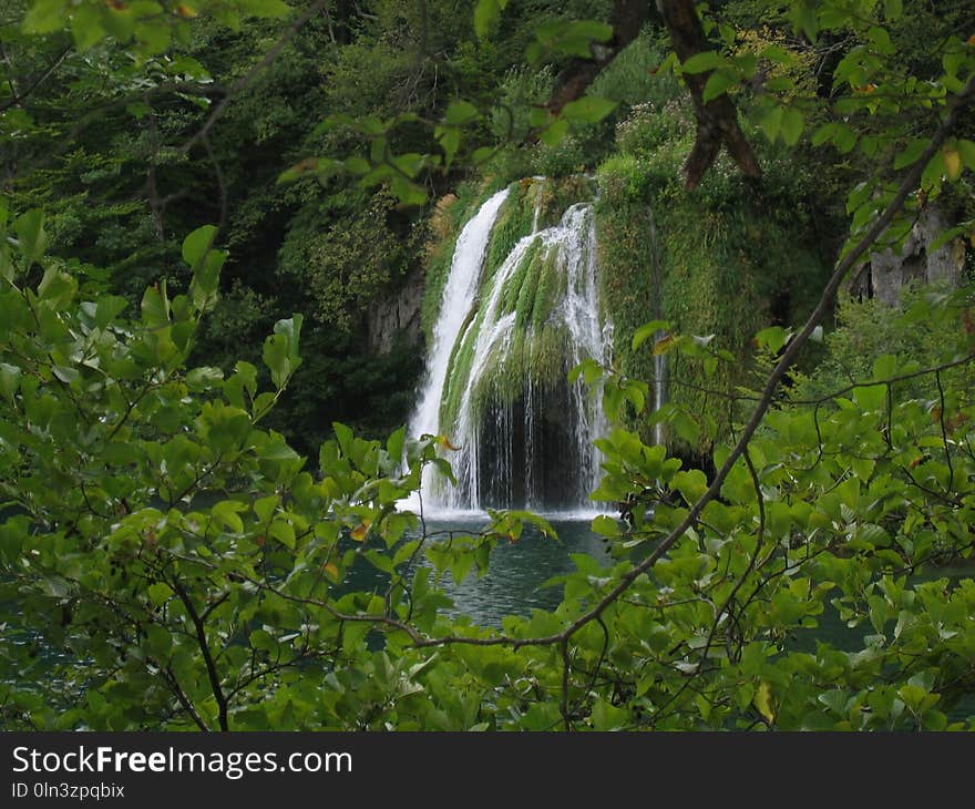 Waterfall, Vegetation, Nature, Nature Reserve