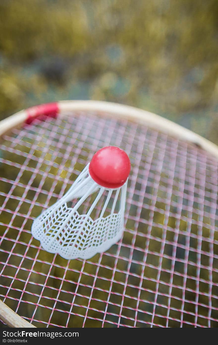 Badminton. Rackets and a shuttlecock