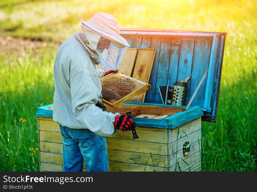 Apiary. The Beekeeper Works With Bees Near The Hives