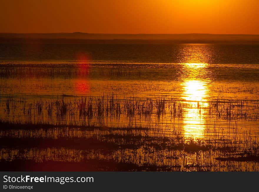 dawn, dawning, daybreak, daylight, aurora, break of day. dawn wheat field