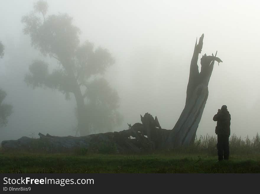 autumn mist. Early morning in thick fog