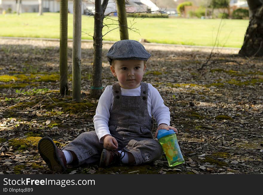 Plant, Tree, Child, Vertebrate