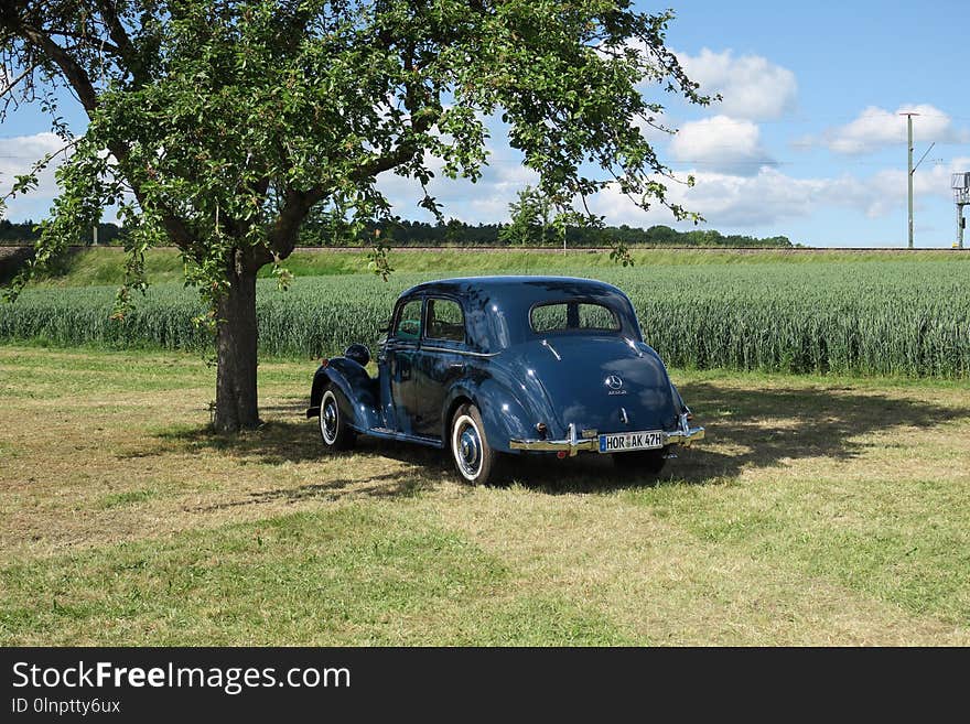 Car, Motor Vehicle, Vehicle, Vintage Car