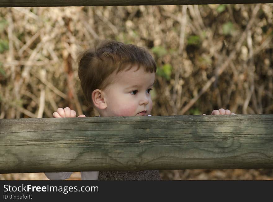 Child, Boy, Grass, Toddler