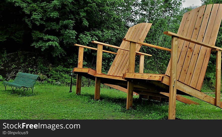 Furniture, Chair, Tree, Wood