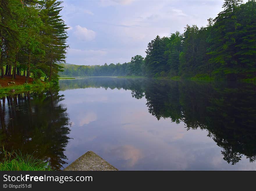 Reflection, Water, Nature, Lake