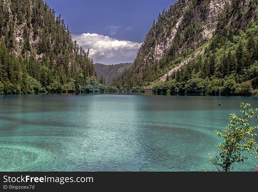 Nature, Lake, Wilderness, Water