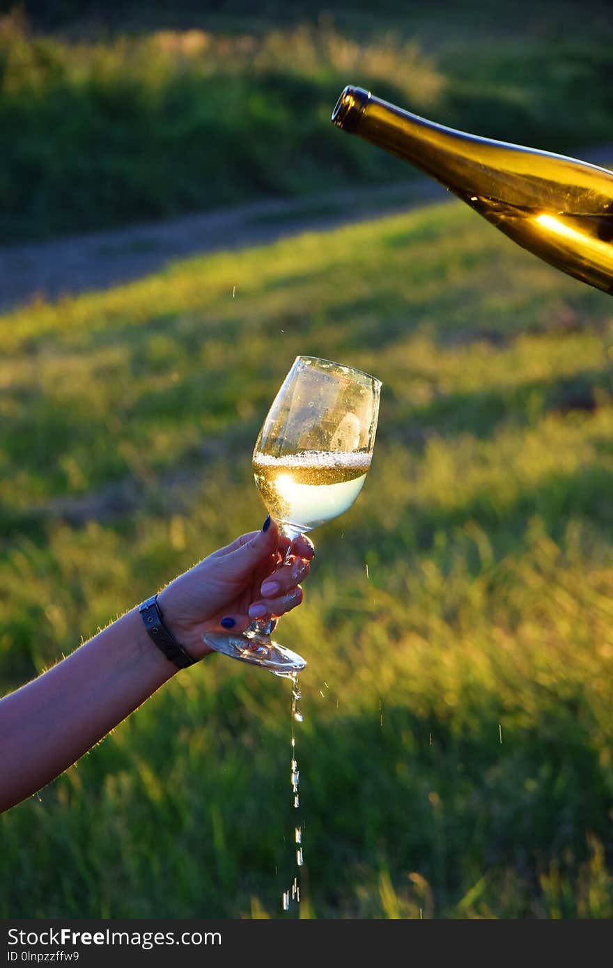 Water, Yellow, Grass, Wine Glass