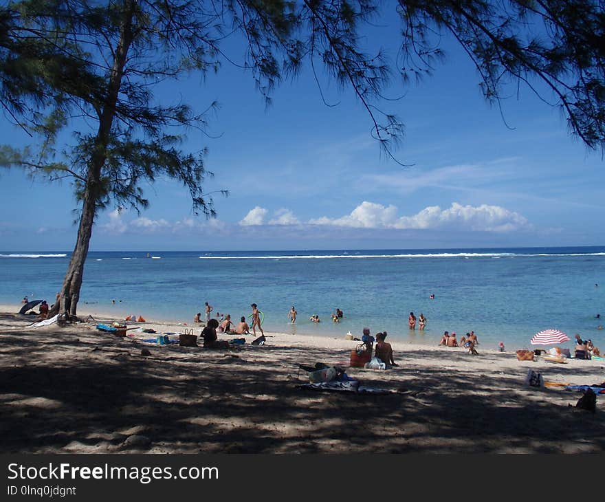 Beach, Sea, Body Of Water, Shore