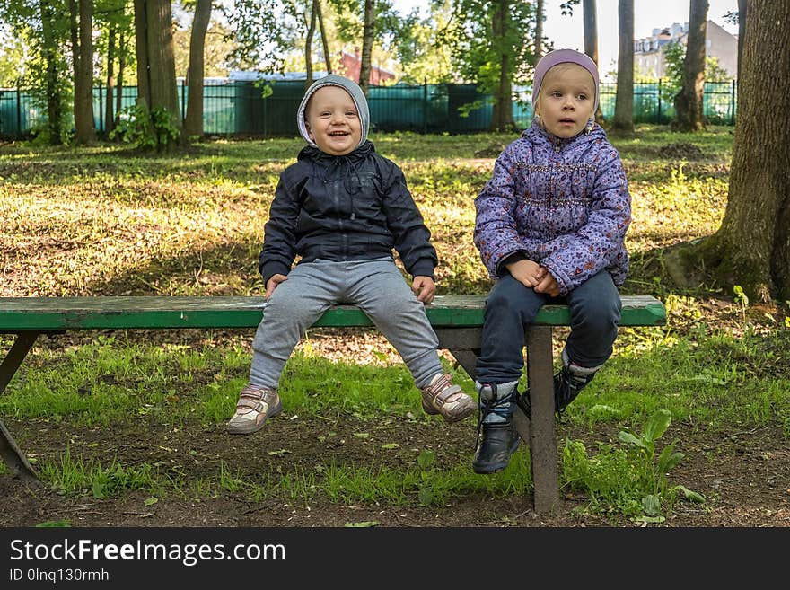 Plant, Nature, Tree, Child