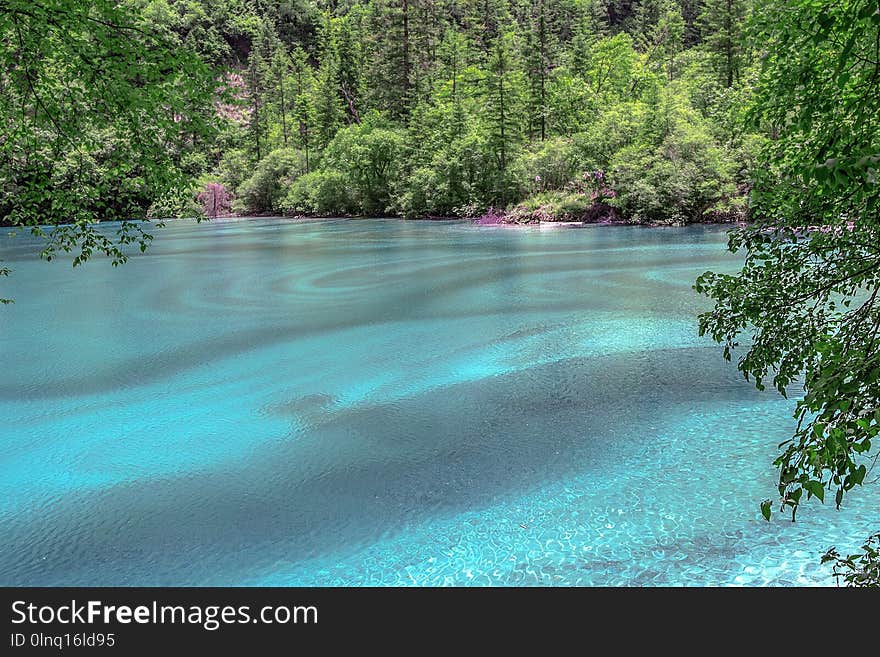 Nature, Water, Vegetation, Body Of Water